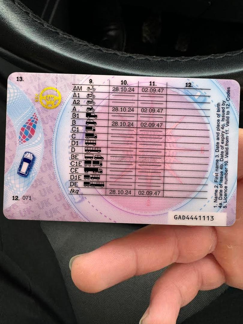 Student licence image 5